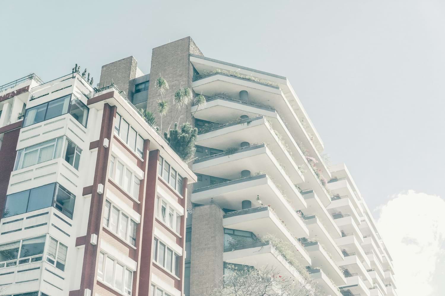 strony internetowe dla deweloperów